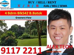 Blk 542 Bukit Batok Street 52 (Bukit Batok), HDB Executive #194216612
